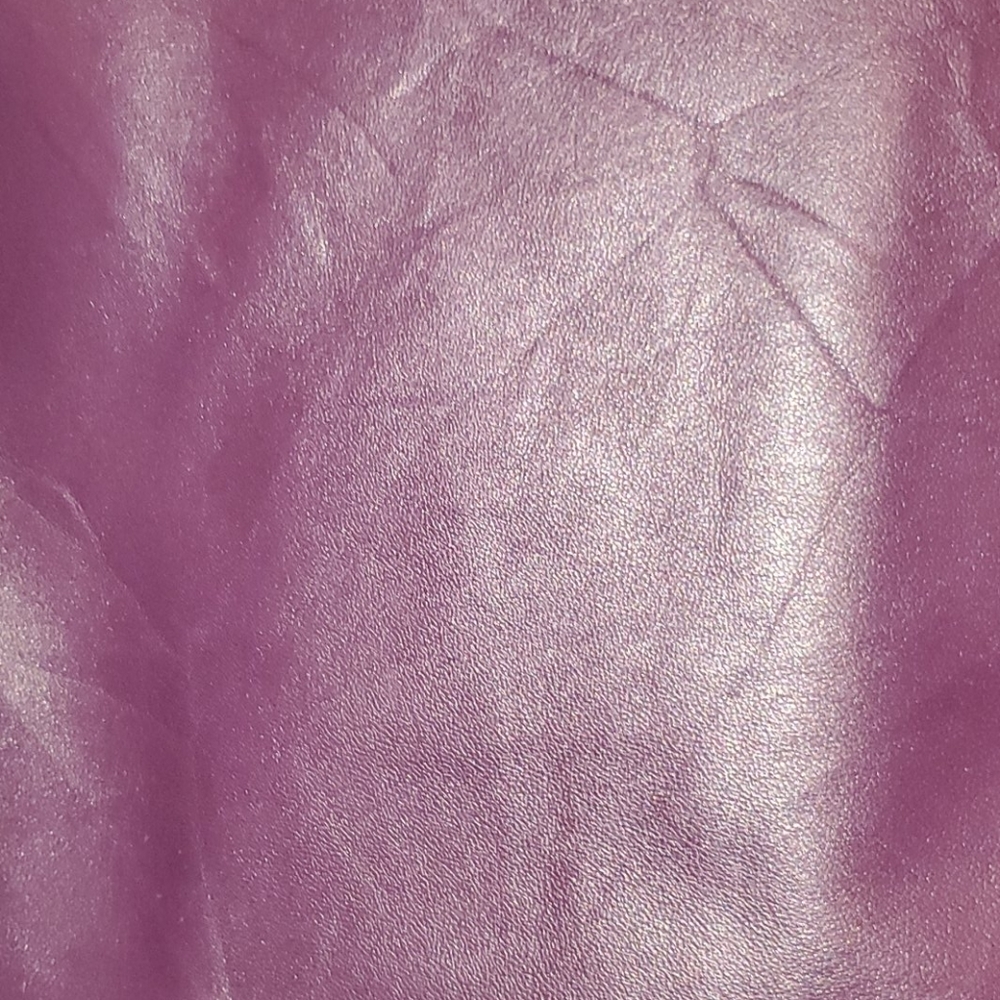 Pendleton Leather Jacket - image 6